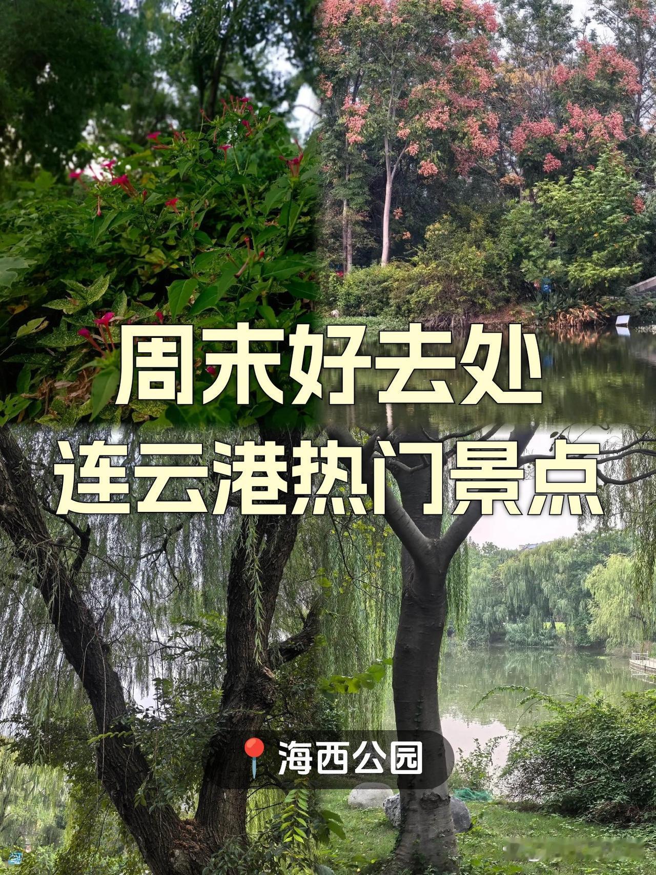 🌊连云港海西公园｜本地人私藏的治愈系海湾

在连云港生活了三年，终于挖到这座被