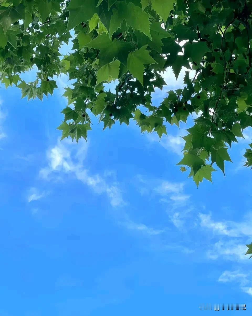 #上联：云淡风轻心自在，诚邀对下联#
上联：云淡风轻心自在，
下联：闲庭信步人自