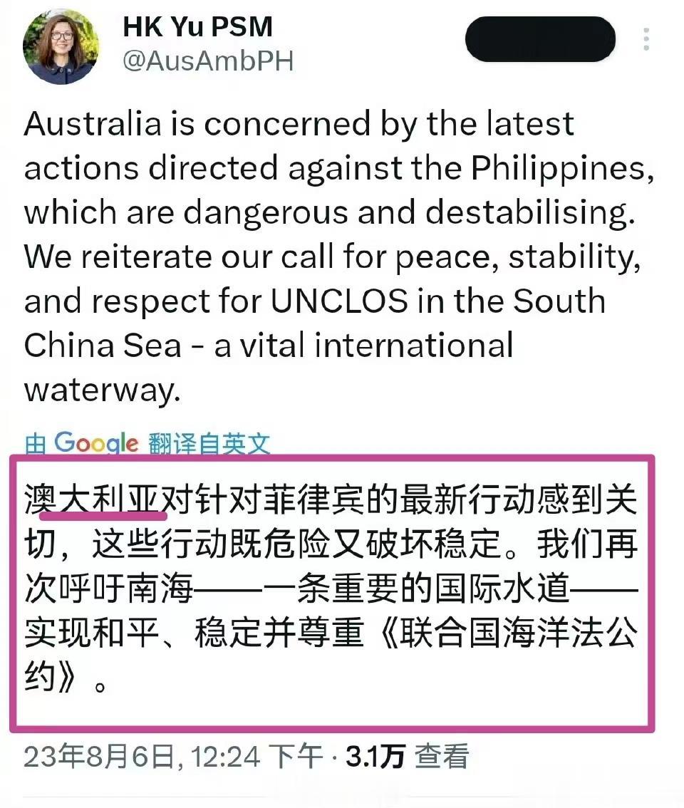 对于仁爱礁有关问题，菲律宾有错在先，

却纠集一帮“打手”来攻击中国，

这些西
