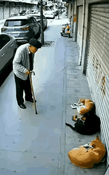 老头: 这路数怎么和平时不一样啊？我70多了，我有病，你们竟然不敢还手…