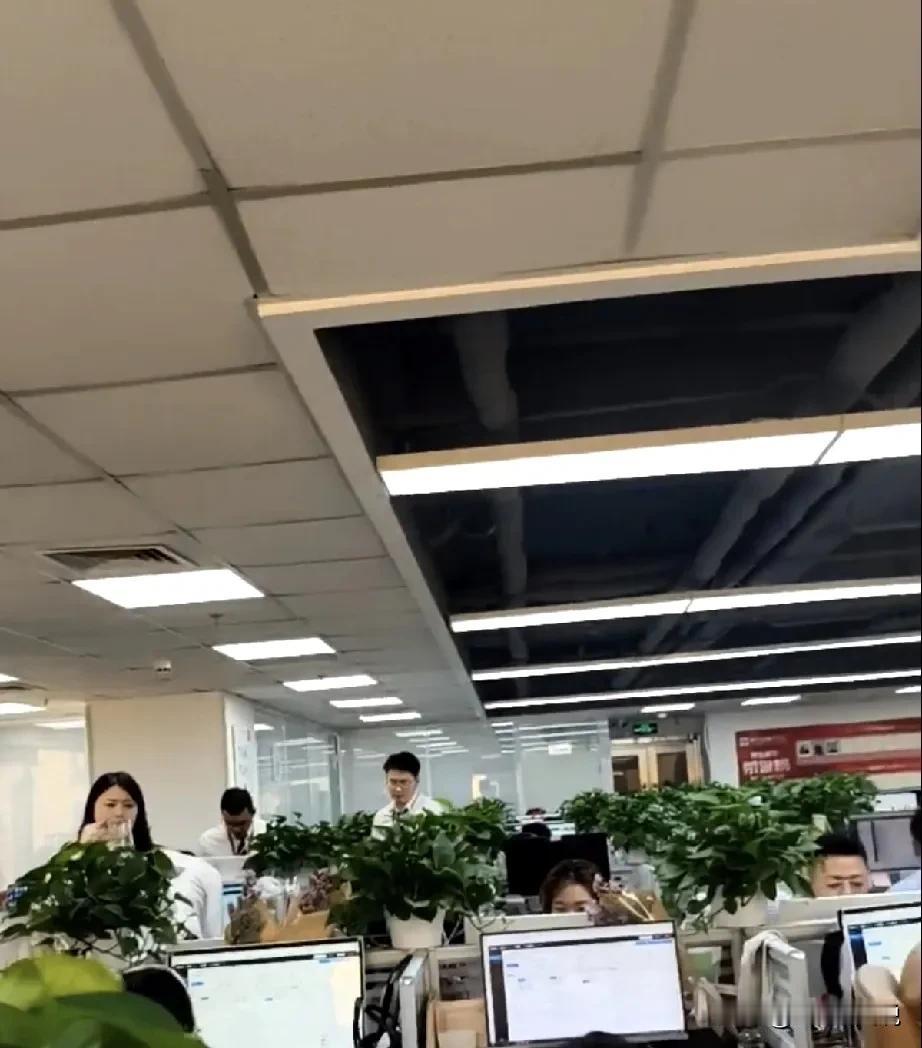 公司忽悠员工，最怕碰上这样的硬茬了[捂脸]公司准备降薪20%续约项目部的一名员工