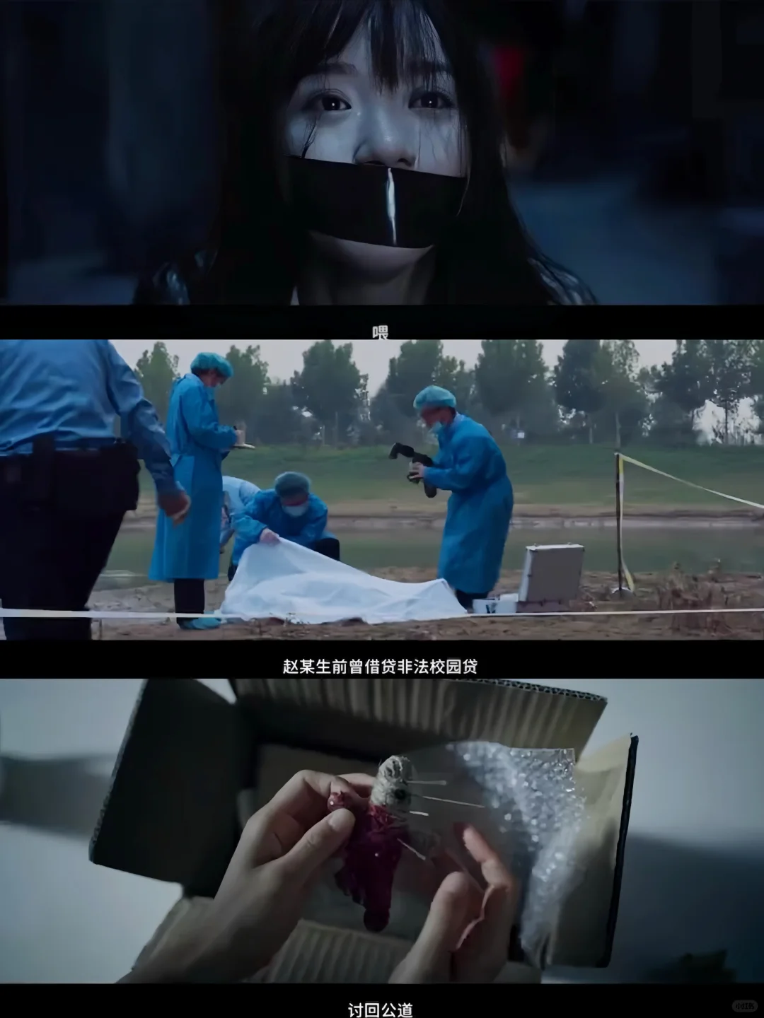 终于来了‼️怪案追凶‼️悬疑局中局‼️多重反转