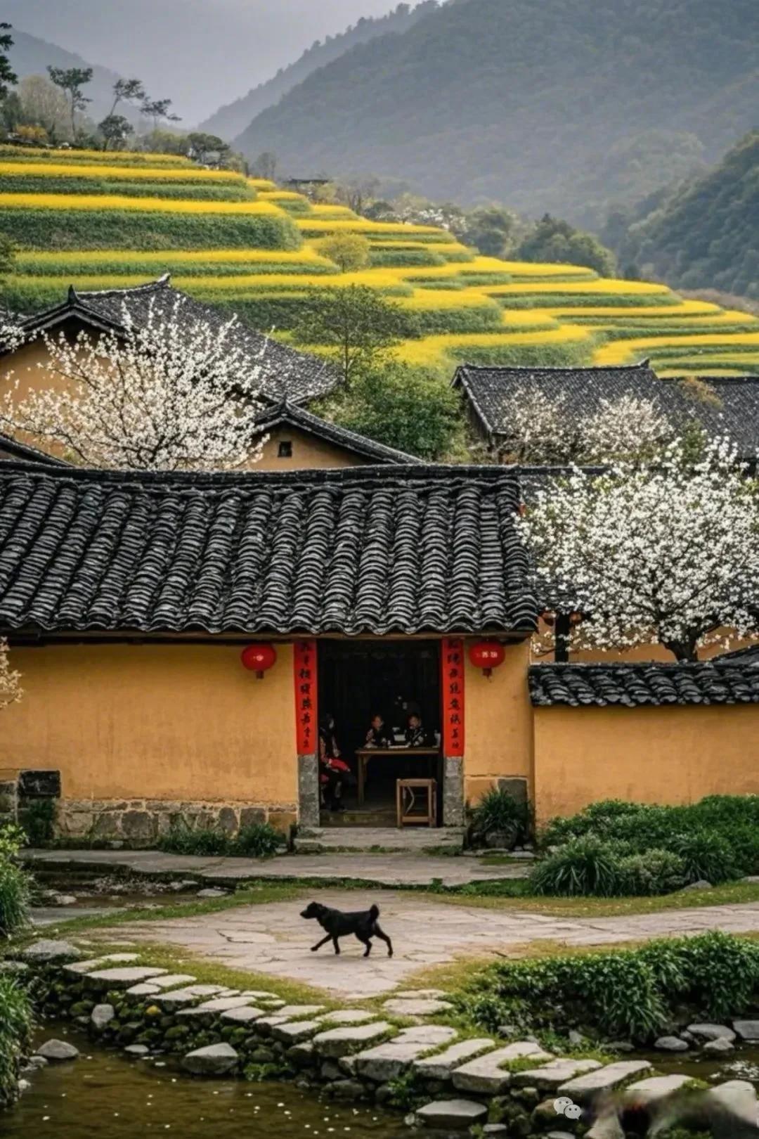 安徽夫妻两天内相继离世，留下一双儿女：成年人的爱情，藏着不为人知的深情与决绝
 