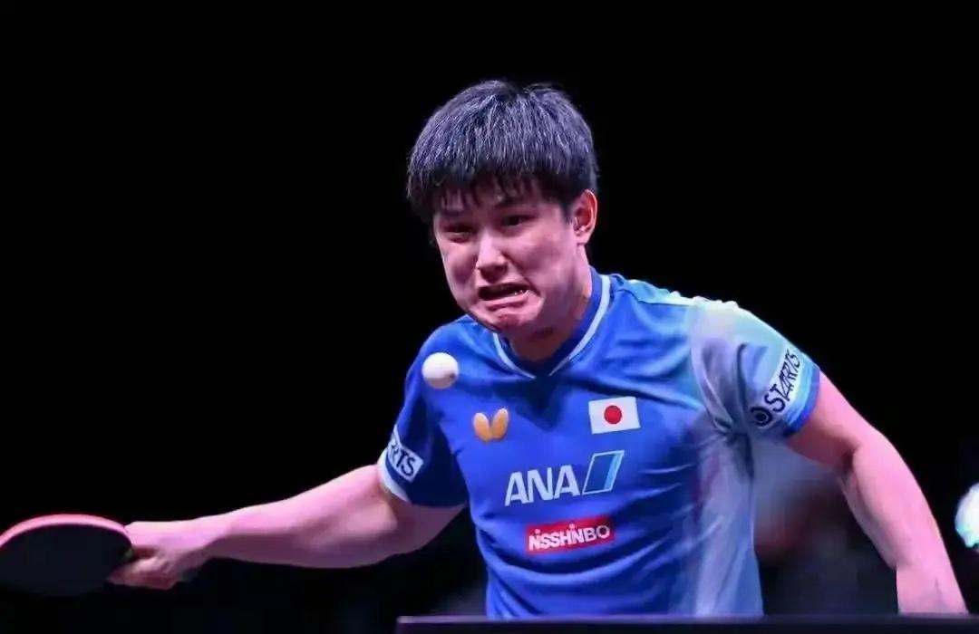 张本智和蛮可怜的
世界上大概没有一个乒乓球选手比张本智和更可怜的了，因为他输了球