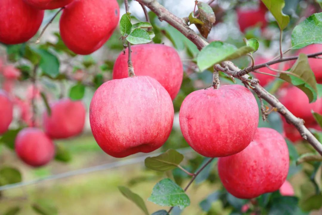 【情绪稳定是种顶级修养】
        情绪稳定真的是顶级修养。很多人愤怒，其