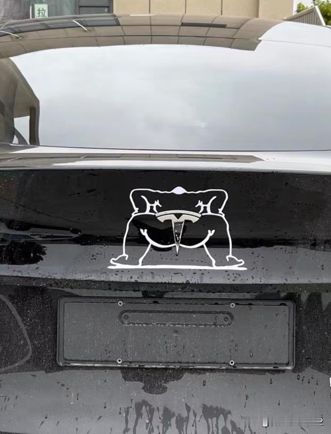 这不妥妥的变成特能拉了？[捂脸]