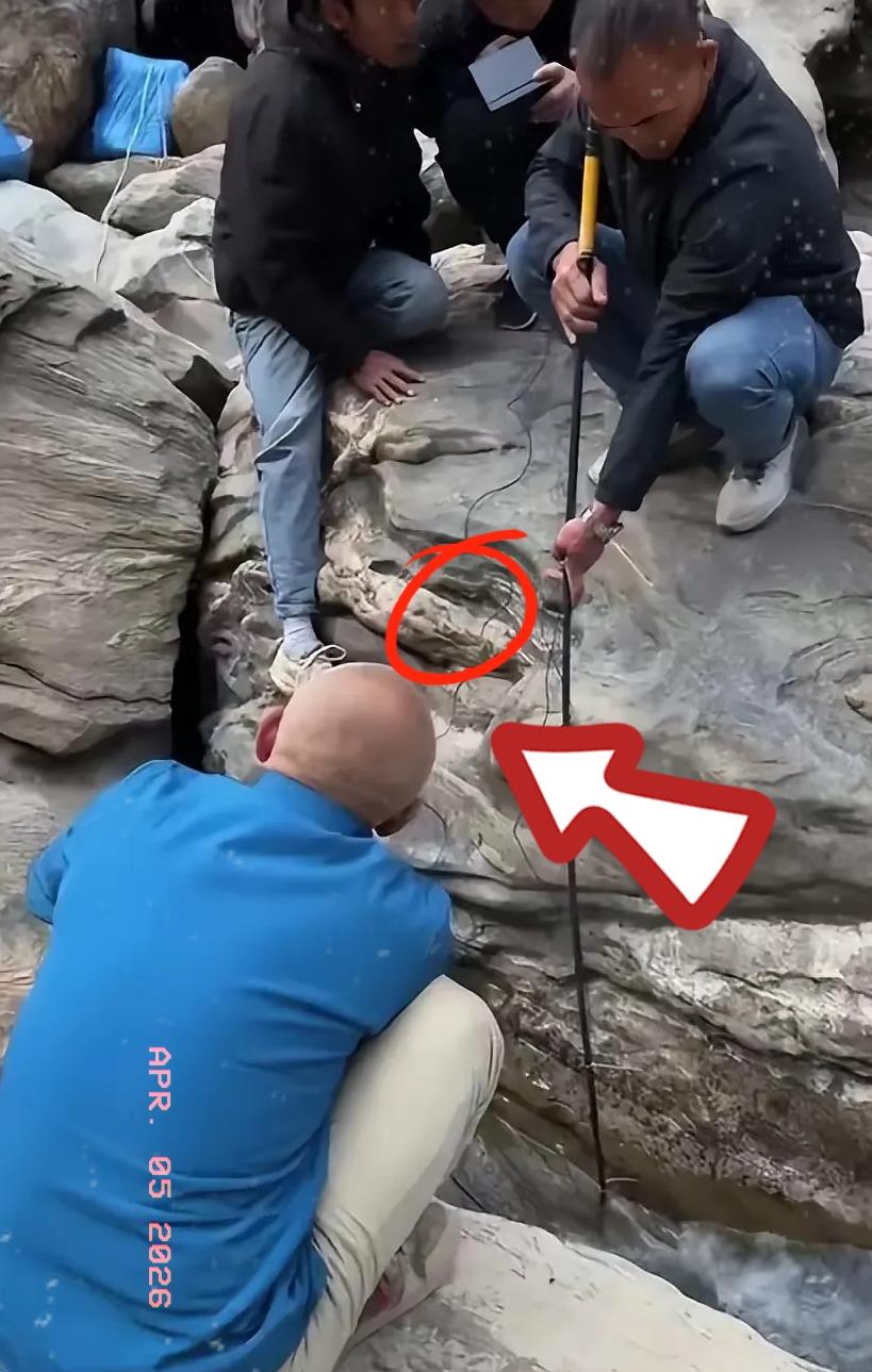 本来都已经放弃救援了，没过几天，家属提出了一个让人无法拒绝的请求！
 
虎跳峡一