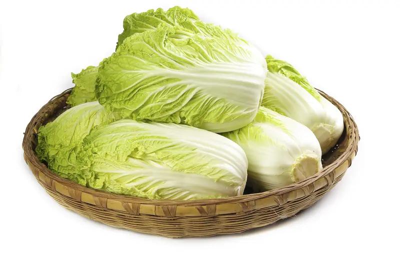 这跟前段时间测评的各种鸡蛋一样，什么草鸡蛋，富硒鸡蛋，无菌鸡蛋，高钙鸡蛋乱七八糟