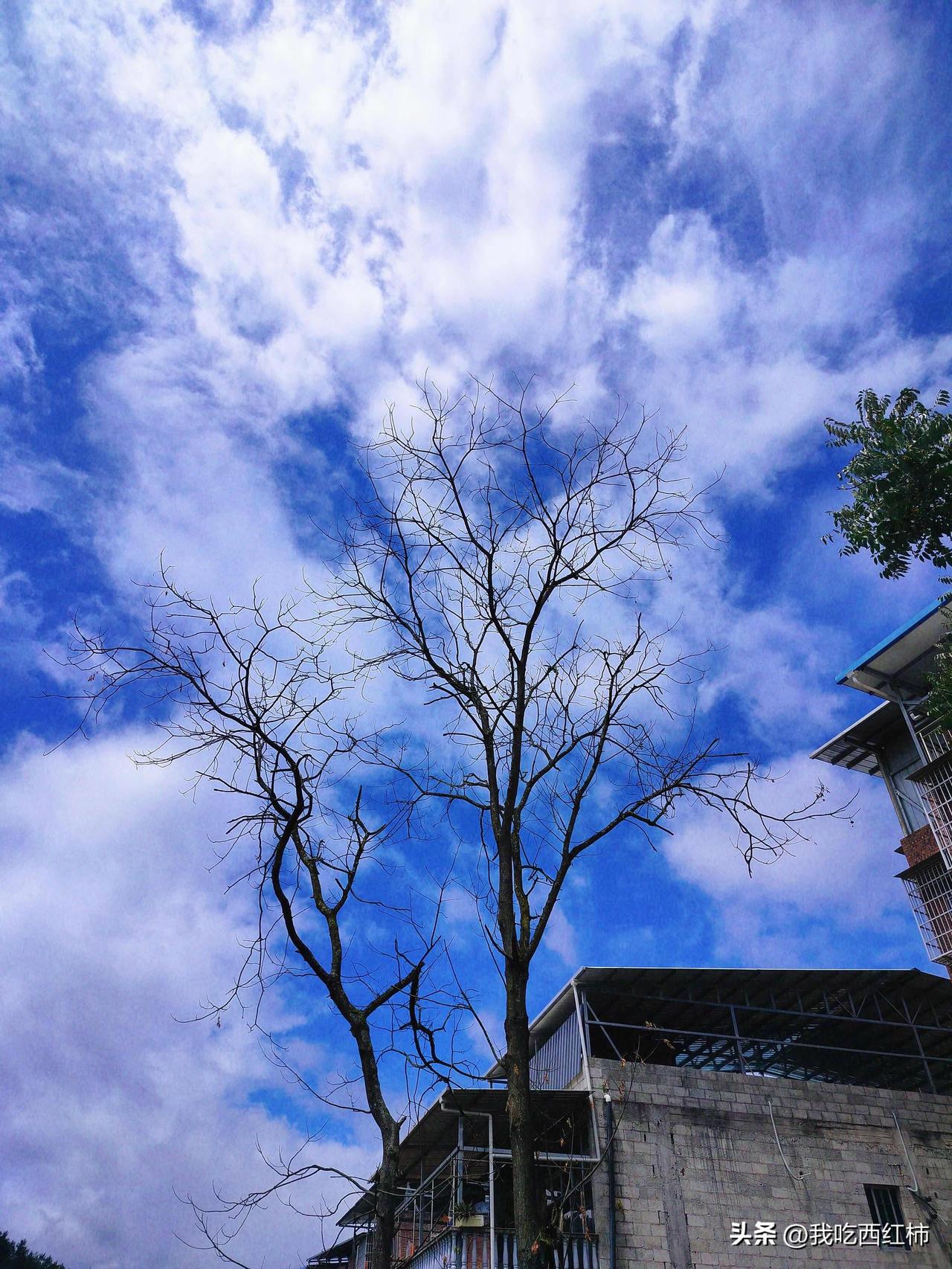 从国外旅行回来，我妈马不停蹄地安排我去相亲，都28了，再不相亲就嫁不出去了，听得