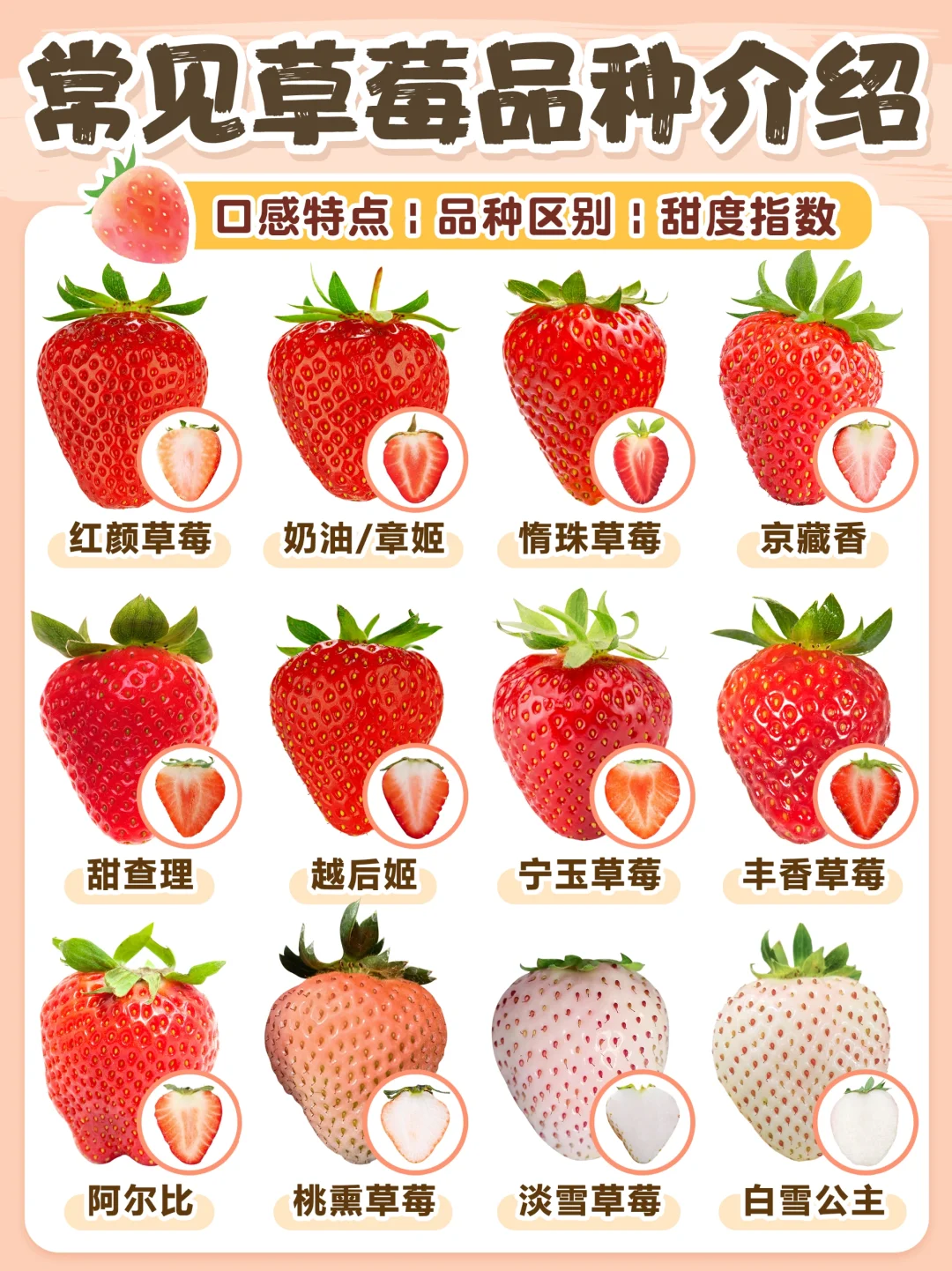 草莓品种说明书🍓区别口感|阳台草莓种植