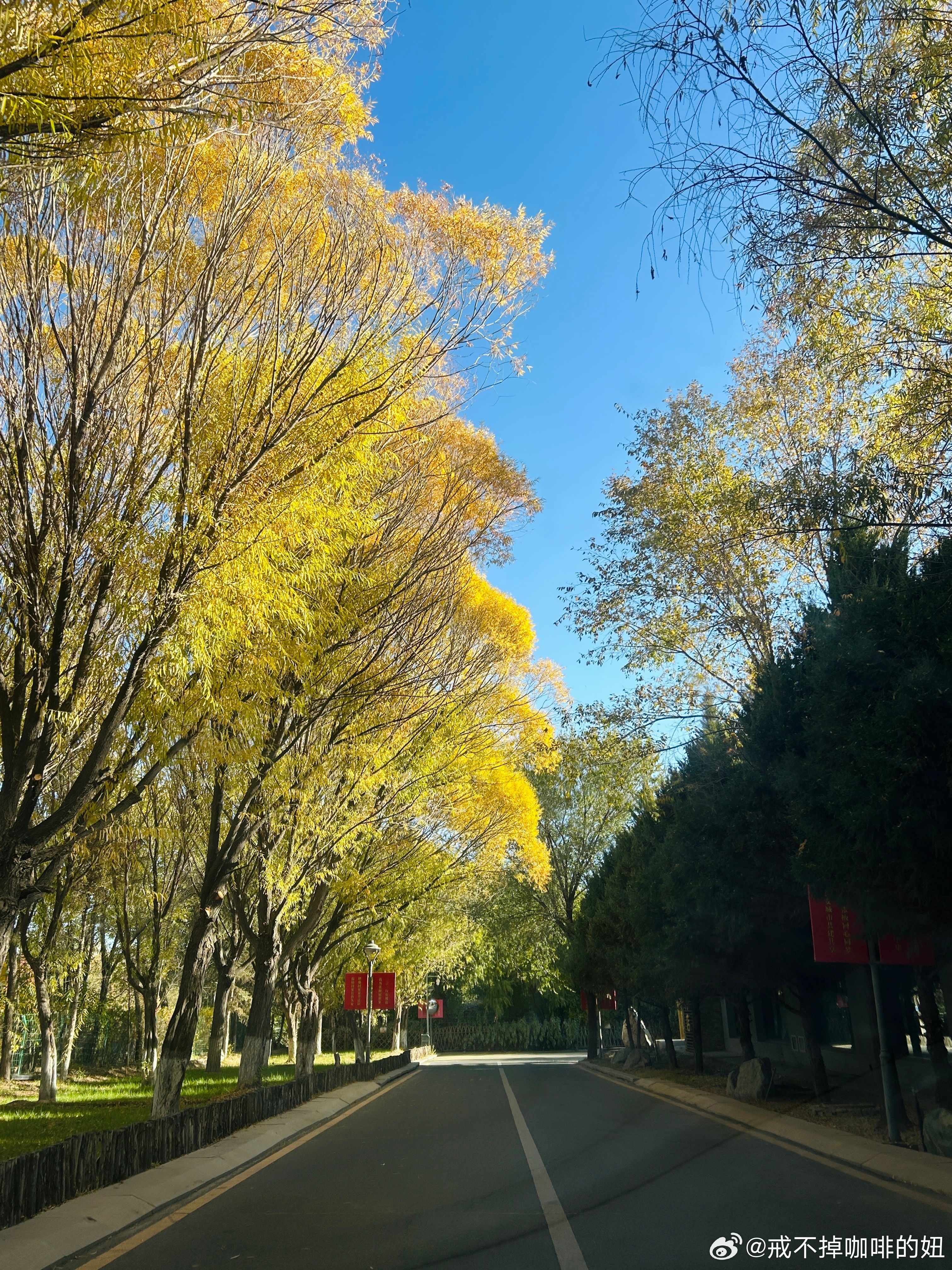 今日份游泳卡1800米✔️游泳独居久了越来越不想社交是这样的，每天按自己的节奏生