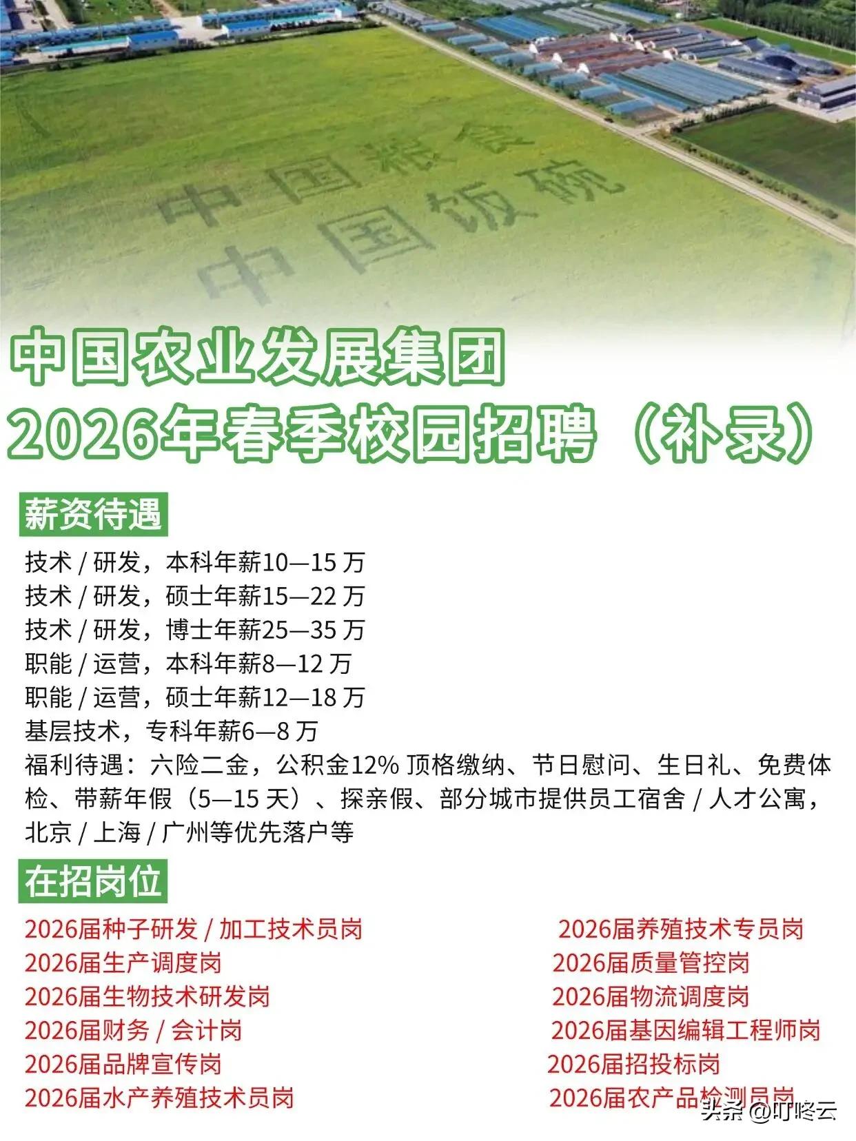 中农发2026春招补录｜躺赢铁饭碗速冲！@叮咚云 就业择业指导干货分享！[福][
