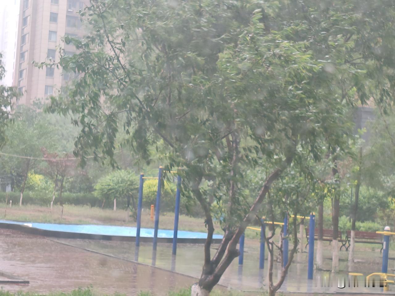 请问你居住的城市下雨🌧️了吗？