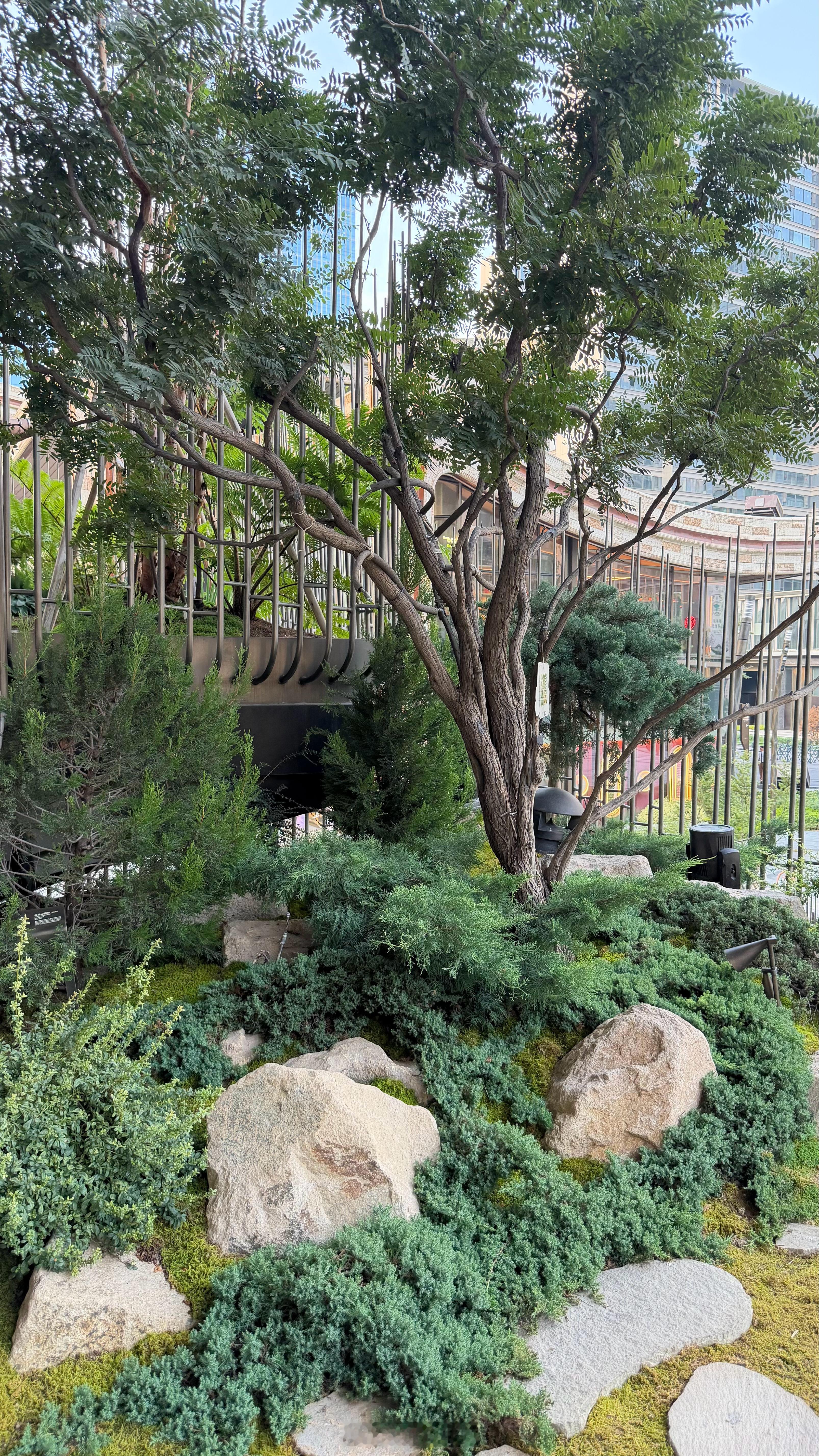 生命之树植被体系日渐丰茂，不同高度区间植被差异非常明显西安商业 西安·西安万象城