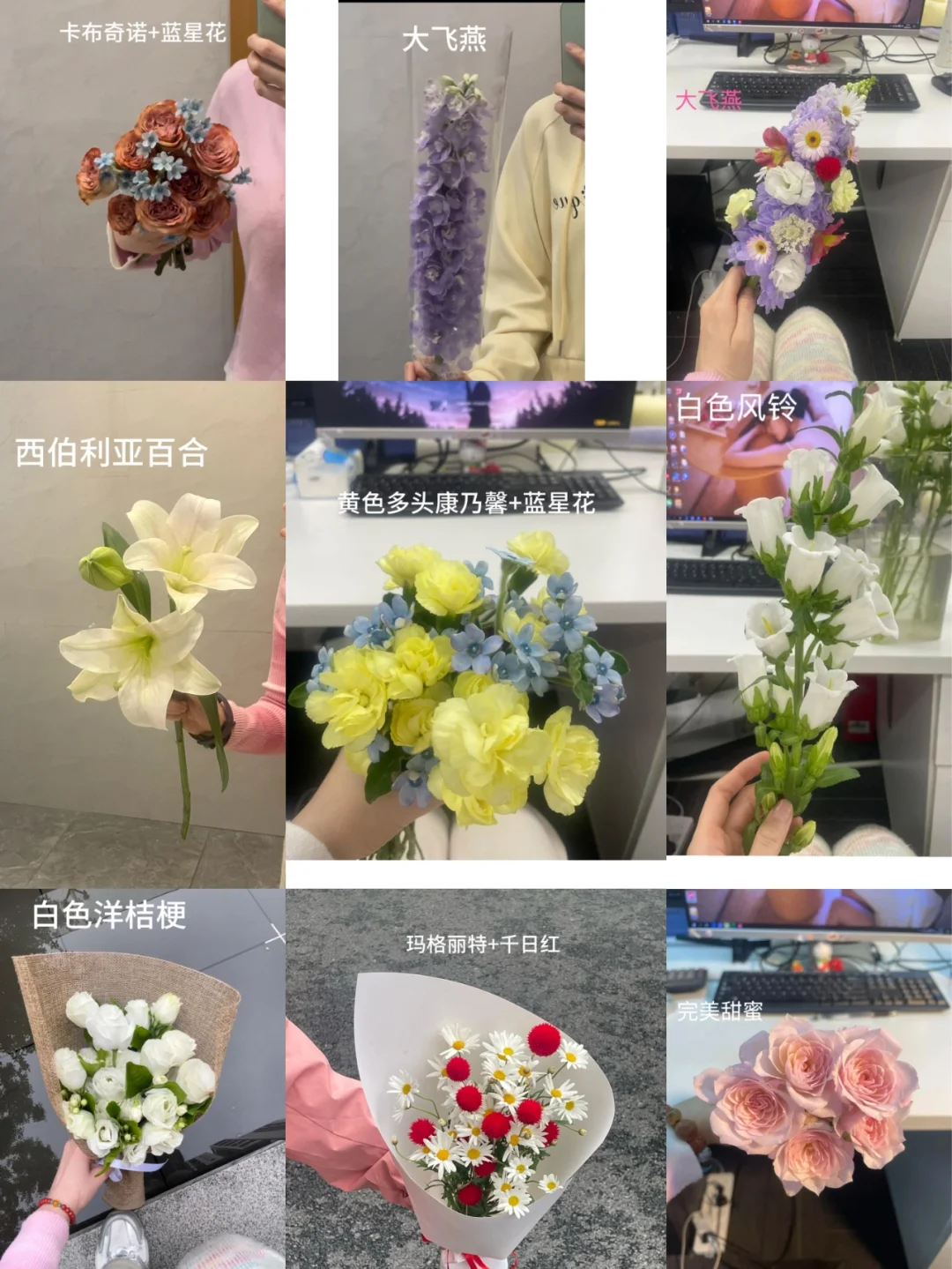 人间四月天｜四月必入的花花
