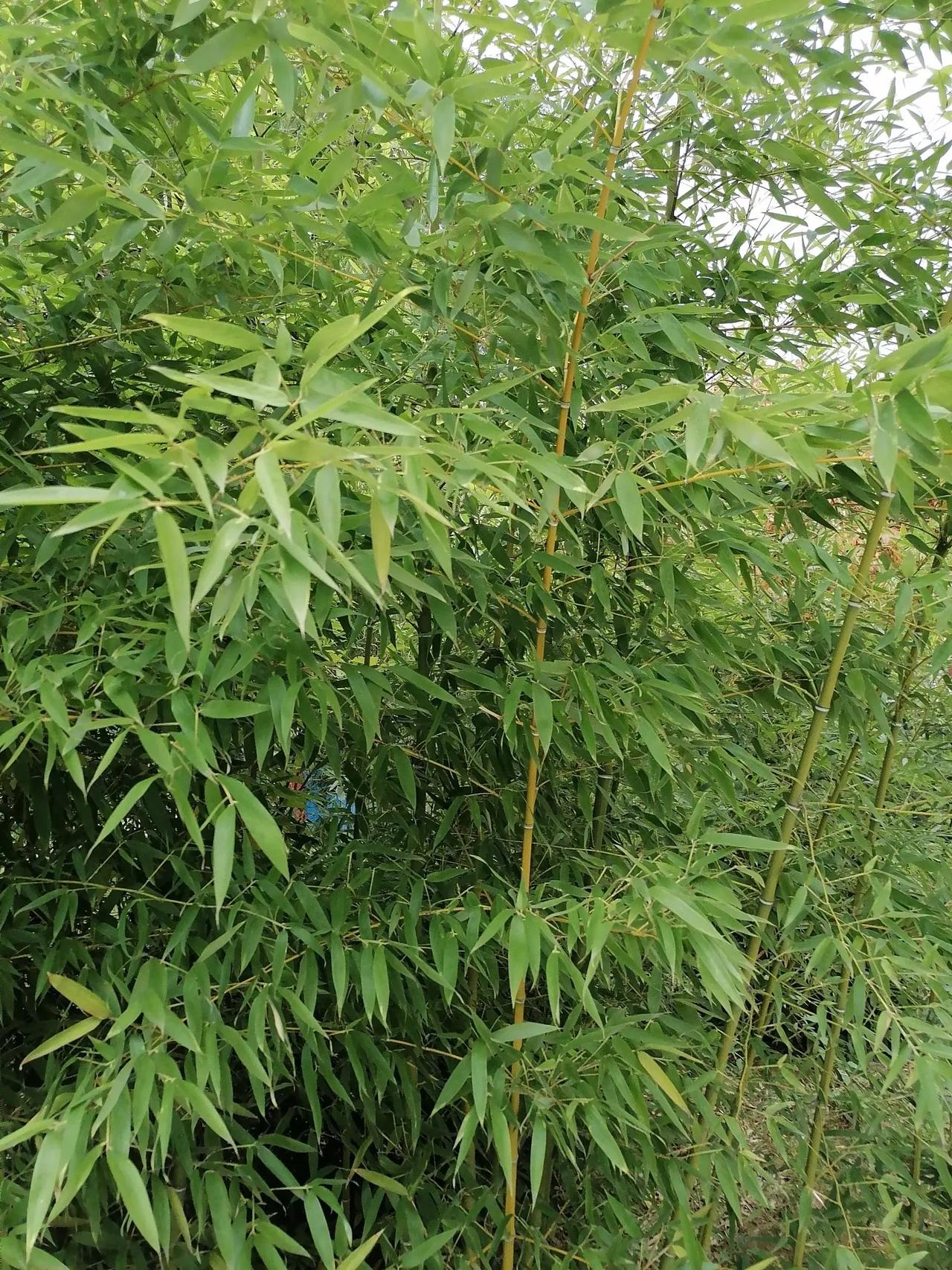 #秋日生活打卡#