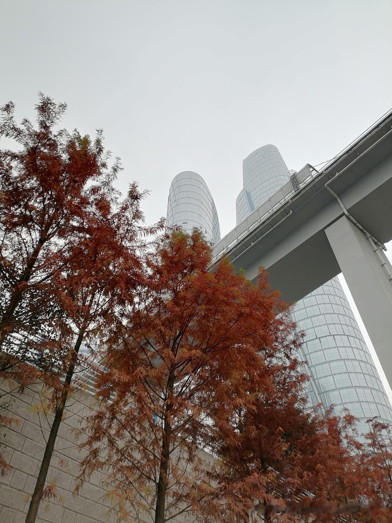 随手一张天空照