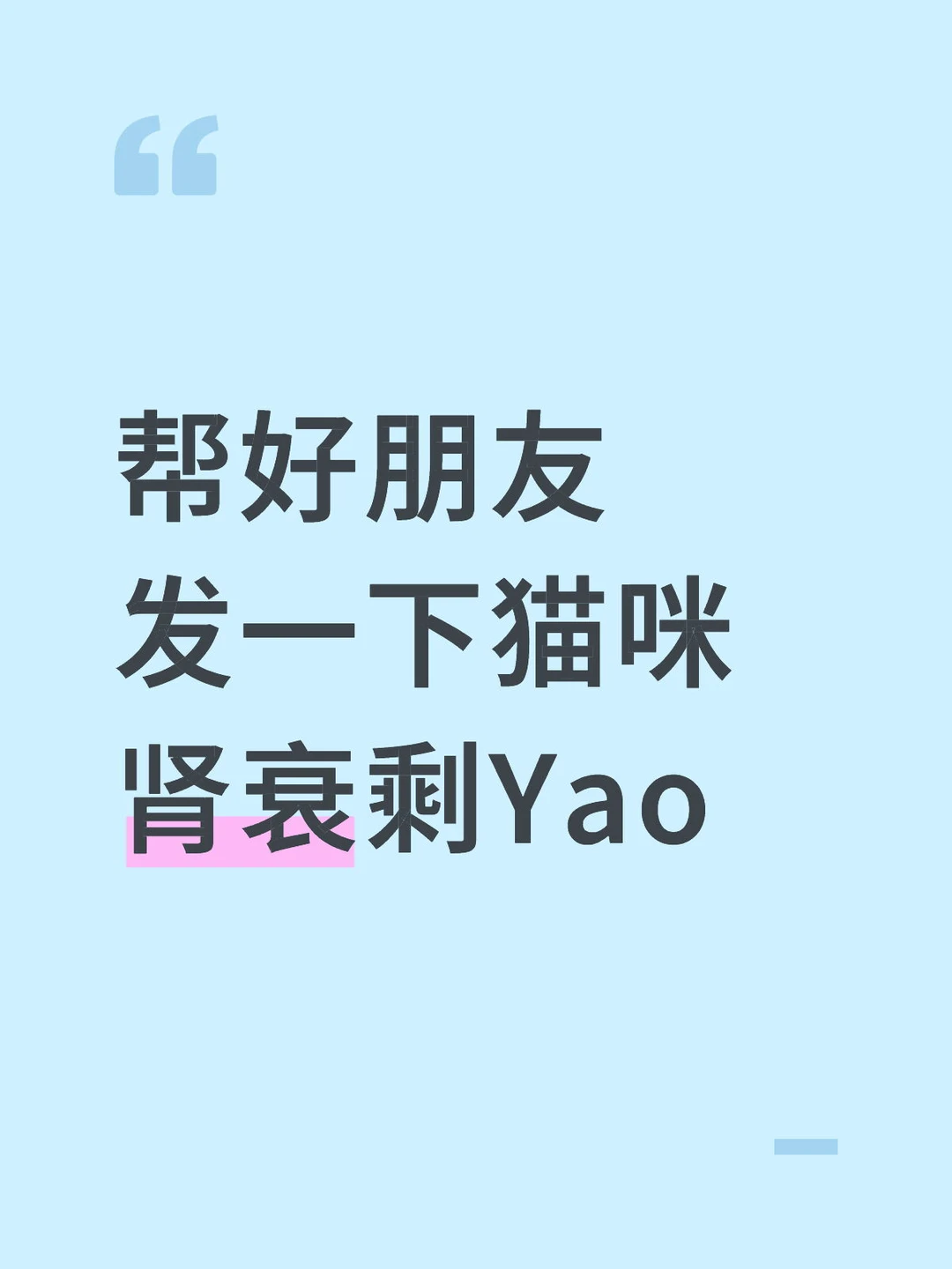 猫咪肾衰用药转让