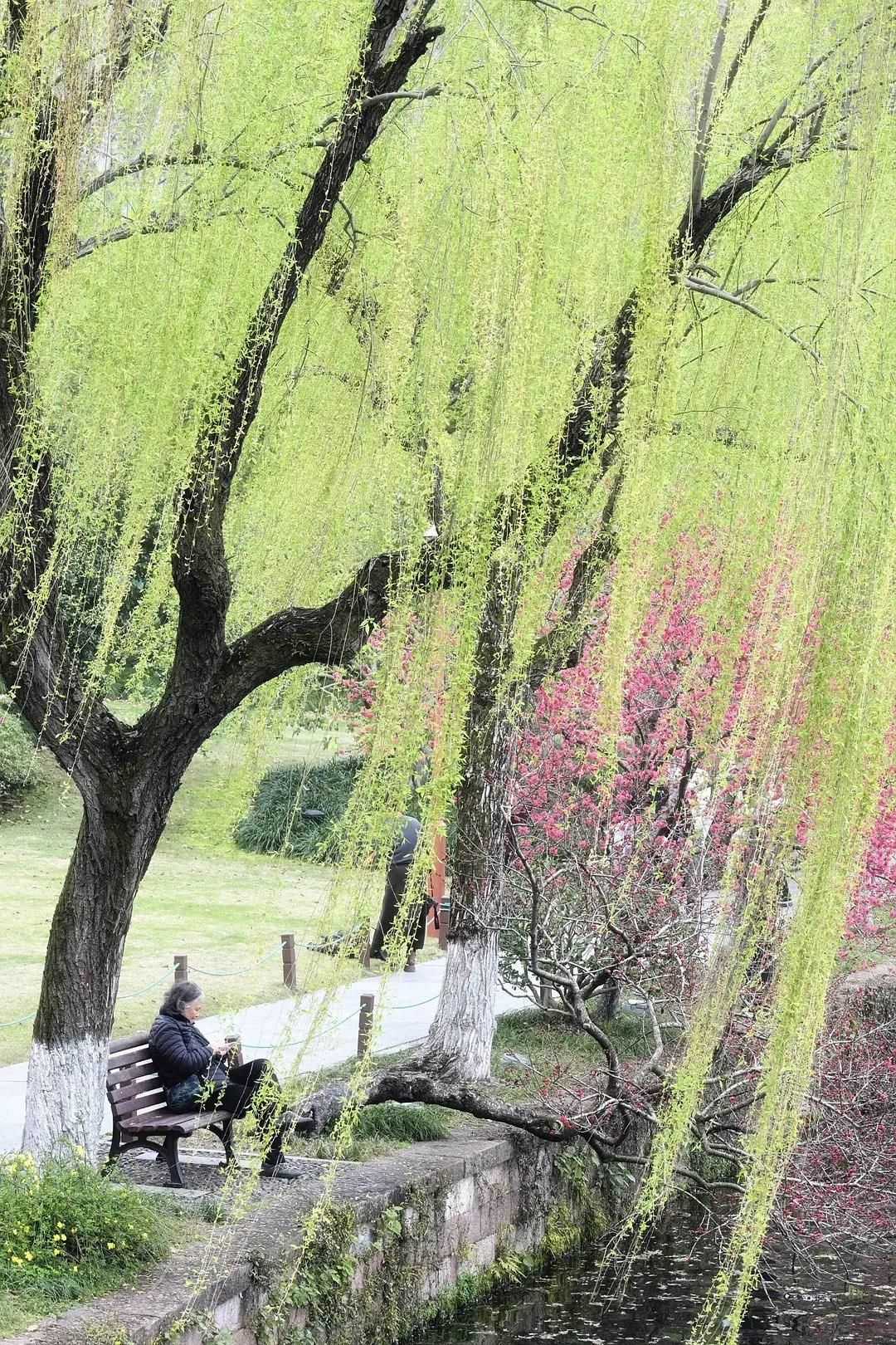 一个人开始走向成功，通常会有这10个表现：
 
1. 不再轻易相信任何人，凡事靠