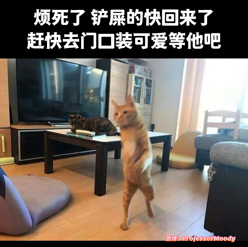 赶紧敷衍一下 