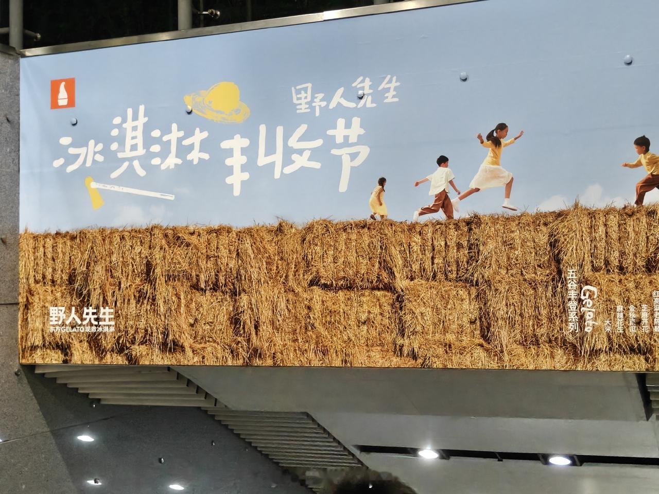 要不是老罗“宣传”，都还不知道有个叫野人先生冰淇淋的国产品牌，也经常去万达等综合