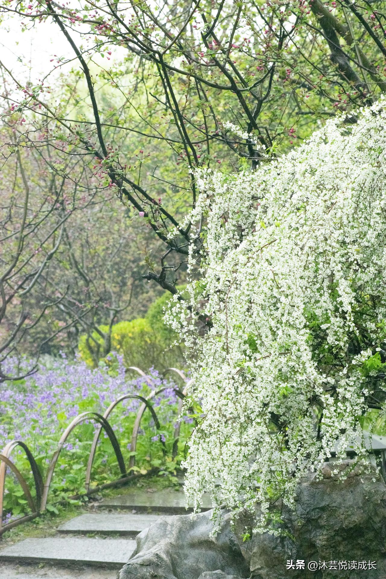 人过五十，最好的活法，不是养生，不是存钱，而是这4点！
 
人一过五十，
很多人