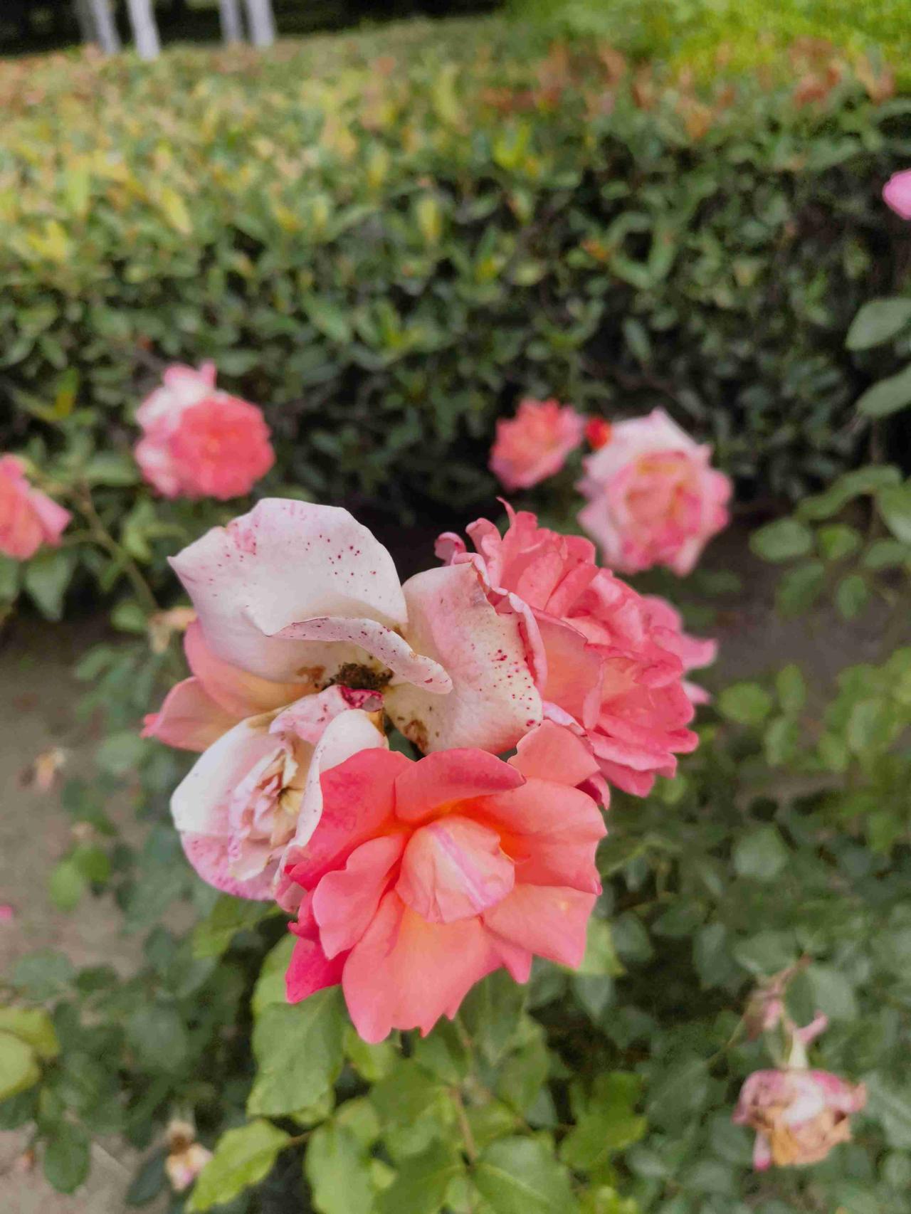 我的今日状态：😁轻松愉快
我这里的天气：☀️晴天