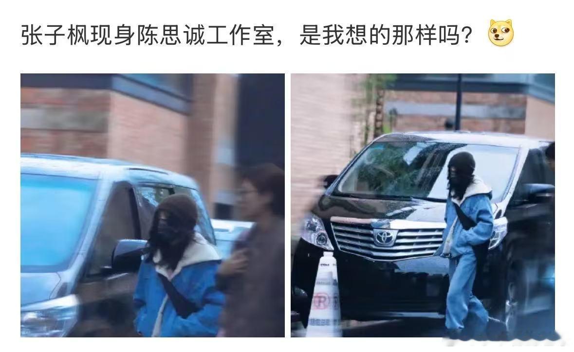张子枫现身陈思诚工作室唐探4要来了吗 是我们想的意思吗？是唐探要动了吗？李雨桐被