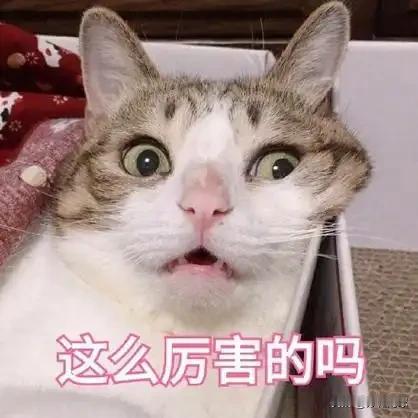 👇泰国人萨王凯7-5/6-0帕克斯
打进温网第三轮
↓印尼人曾丽美7-6（5）