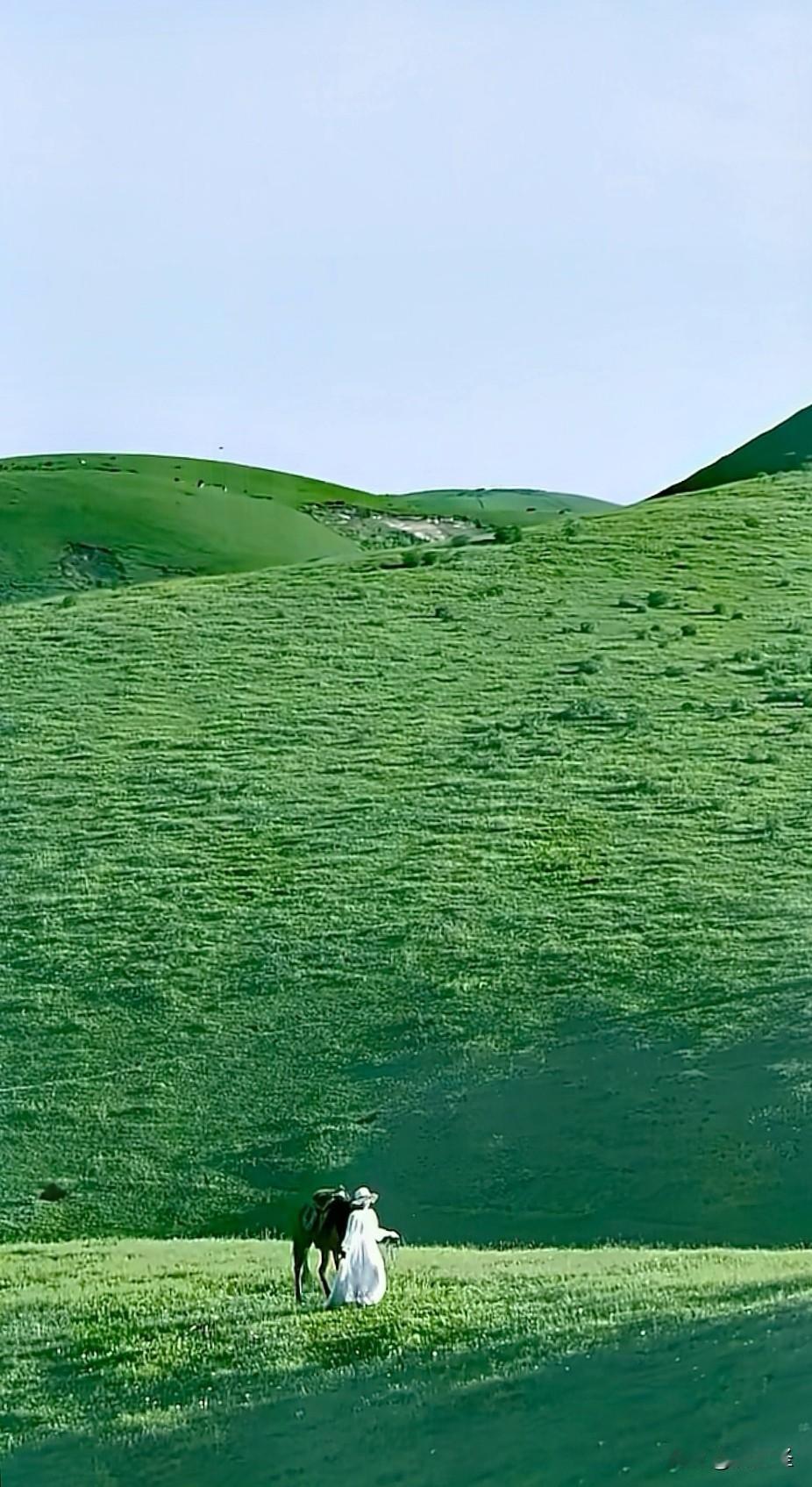 我相册里还真有这么一张天空风景图，画面就是一人一马一草一天空。图里，一个骑手骑着