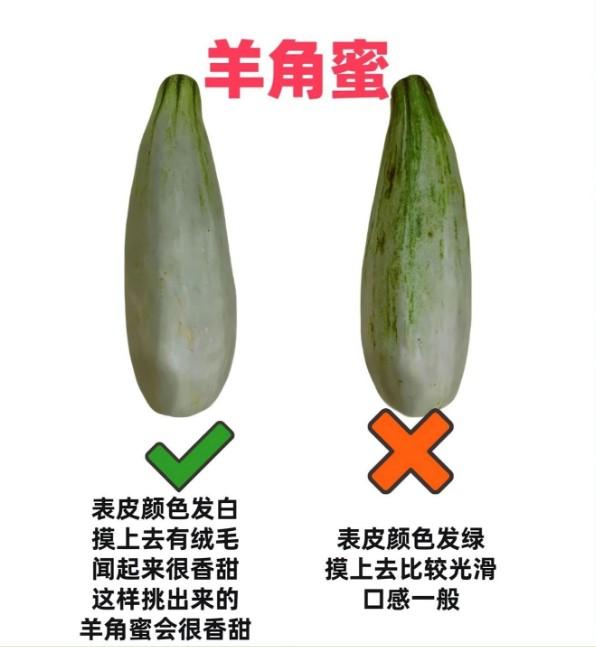 夏天是吃羊角蜜的旺季，很多人挑瓜总踩坑，买到口感生硬、味道寡淡甚至空心的果子。今