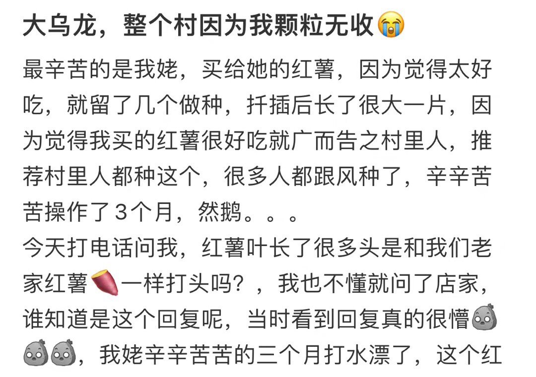 犯了大错，全村的人因为我失去了一切 ​​​