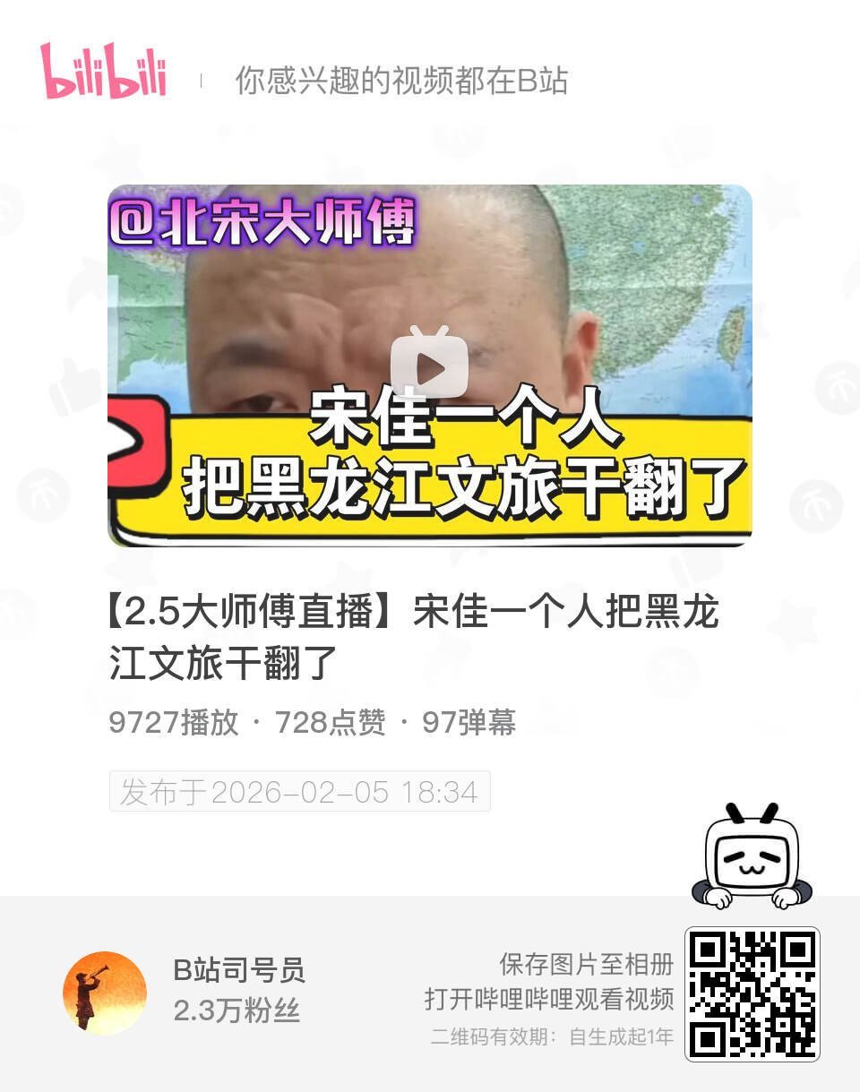 【2.5大师傅直播】宋佳一个人把黑龙江文旅干翻了 UP主:B站司号员 bilib
