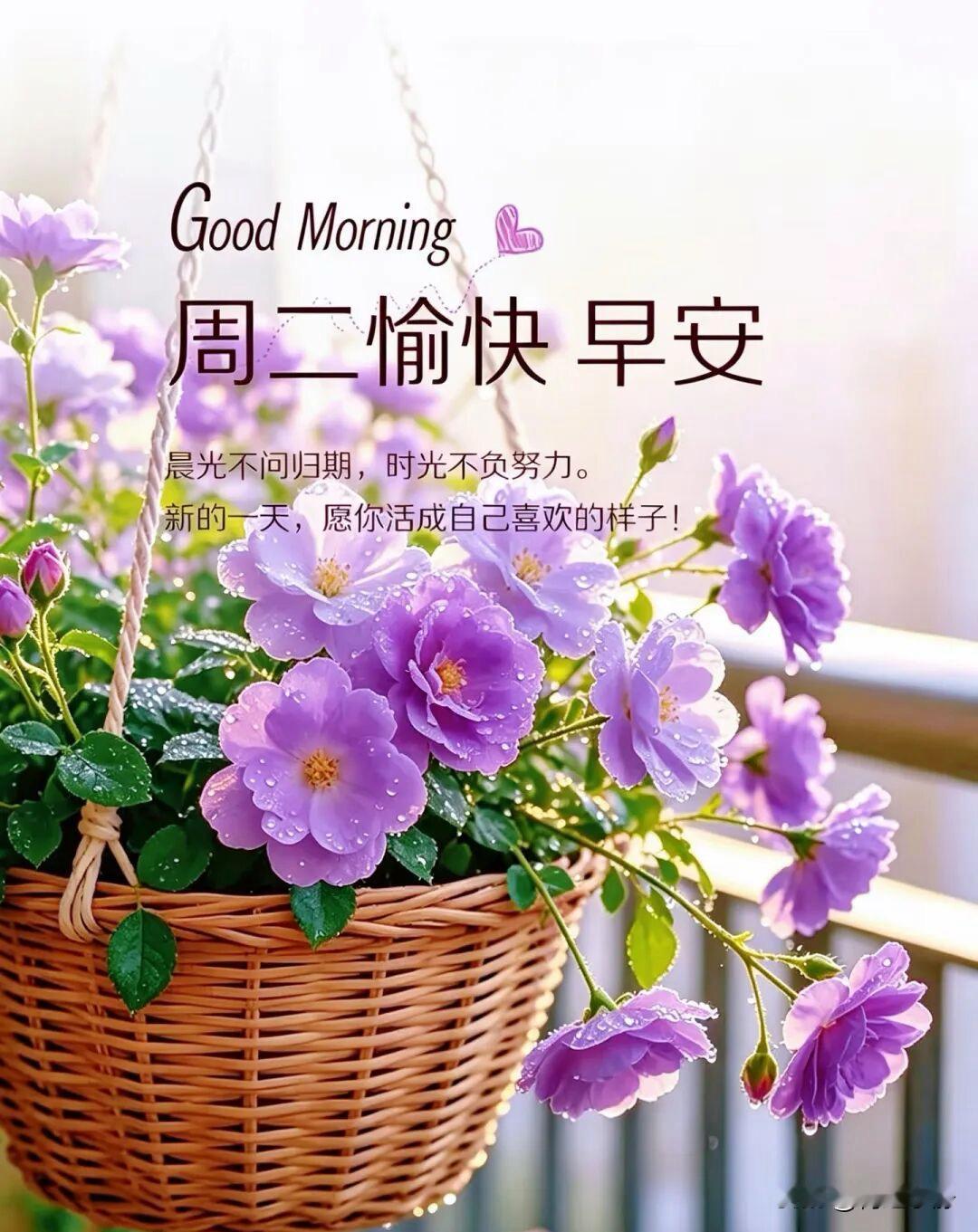 🍂²⁰²⁶/₀₈.₂₅ᵕ̈周二｜秋日安然☕️
🍃𝐆𝐨𝐨𝐝 𝐌𝐨?