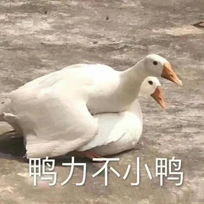 去班味tips不要下班还反复复盘白天工作对错，事情过完就翻篇，别内耗自己 ​​​