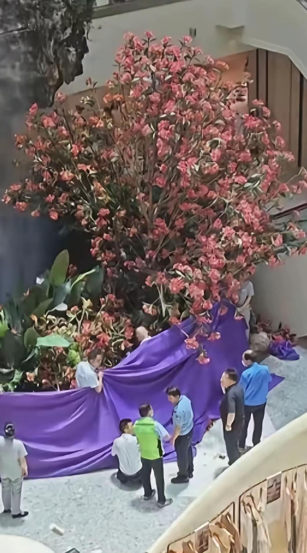西安赛格严鹏的个人简历
严鹏个人简历（公开信息整理）
姓名：严鹏
年龄：60+岁