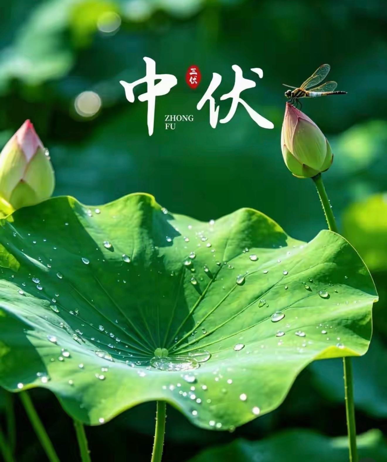 夏有三伏，热在中伏，一年之中最热的时节来了，长夏炎热，煮一碗绿豆汤，消暑去热。愿