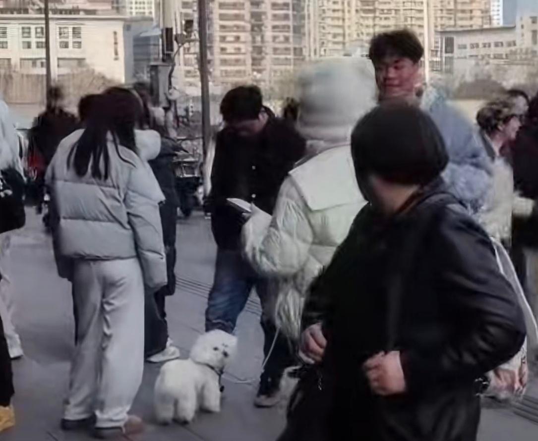 终于知道为啥有人能集齐21张了集齐21张能获得免单，这活动啊，一般人真的不容易完