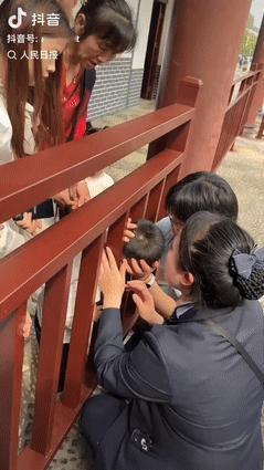“终于看到个聪明人！”湖南郴州，一男孩在游玩时，头部不小心卡在栏杆钻不出来，家长