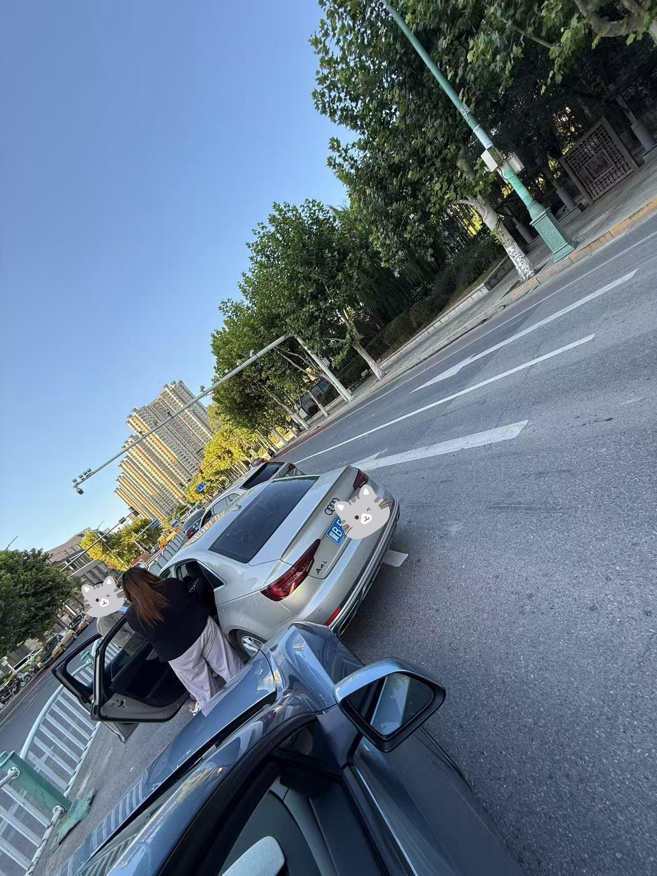 周末没法来河北了，小伙伴正常开车在路上被骂被别停了，想看完整视频晒完我给大哥打码