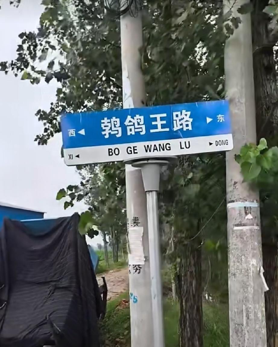 东明县小井镇鹁鸽王村
鹁鸽王位于县城南30公里处。现有150户，507人；耕地1