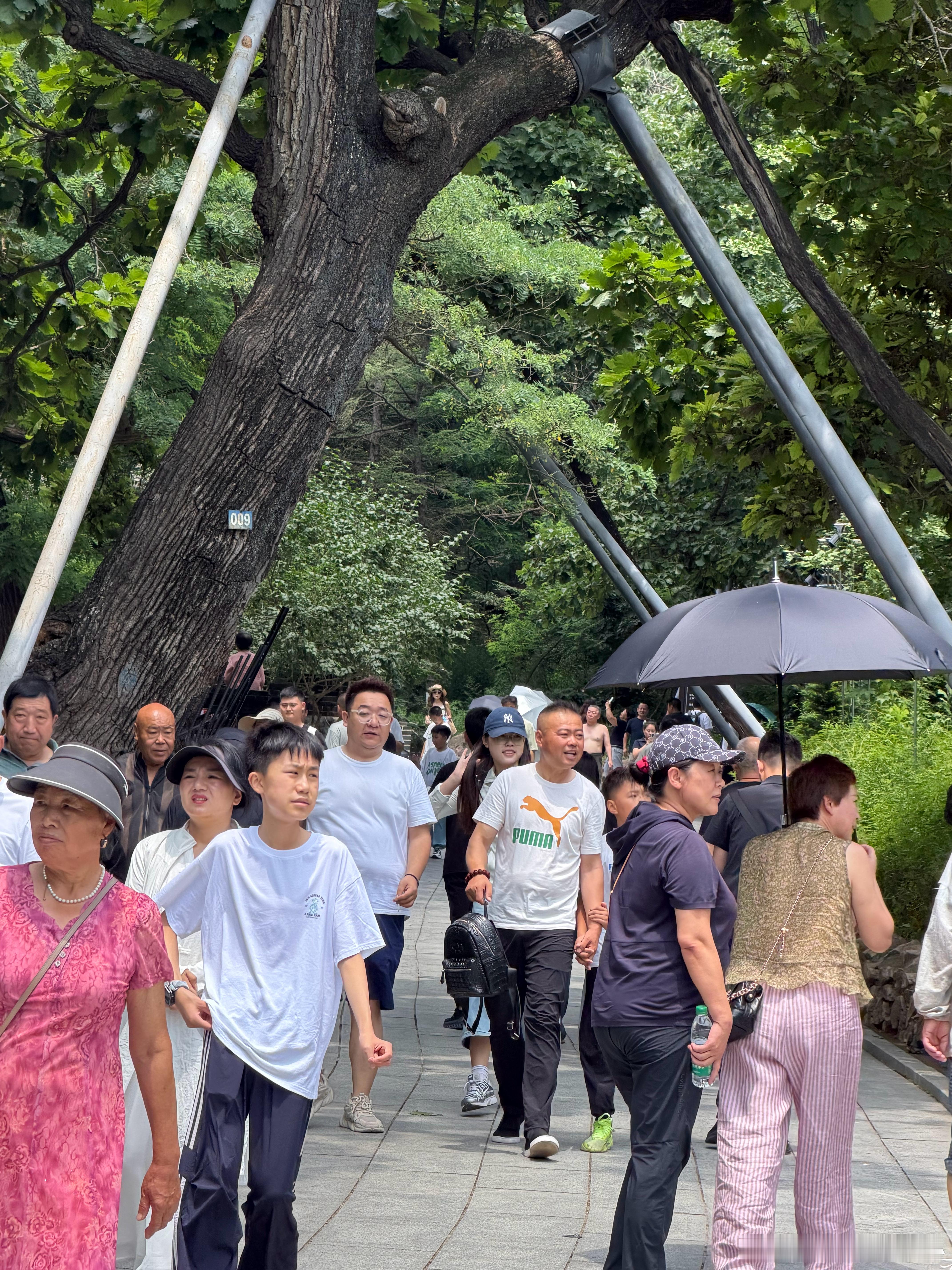 开学季不只是孩子的事，也是全家的小仪式。爷爷奶奶惦记学业，爸爸妈妈操心状态，孩子