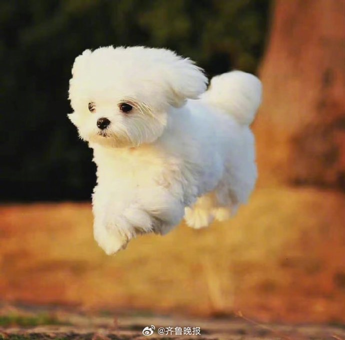 #早安# 生活简单，日子温暖，我们都在奔赴更好的未来。 