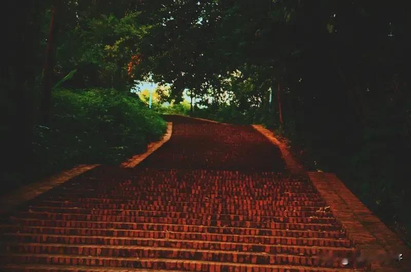 七律  世相感怀——一曲人生之歌，谁解此中深意
人心百态知炎凉，世事无常费忖量。