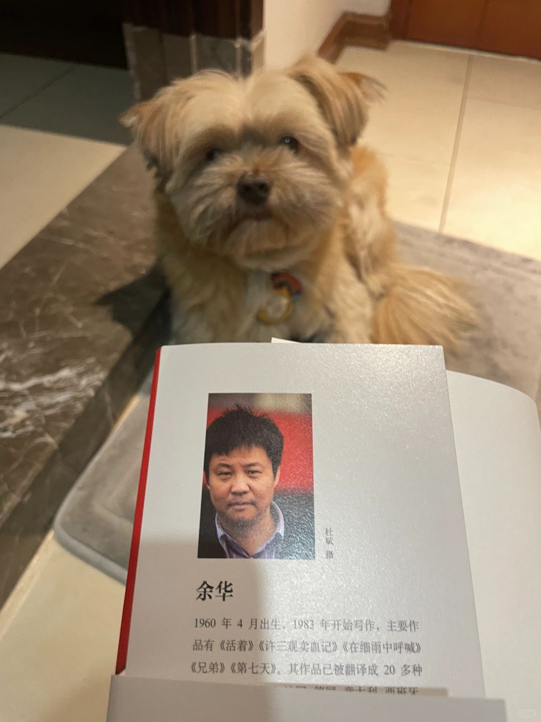 你实在…长得有点冒昧了