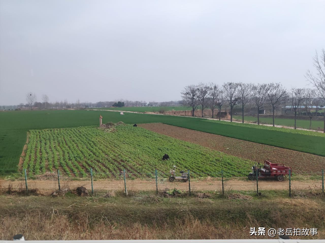 今天是正月二十，按照俺老家的风俗，今天是上坟扫墓祭祖的日子，今天堪比清明节。我于