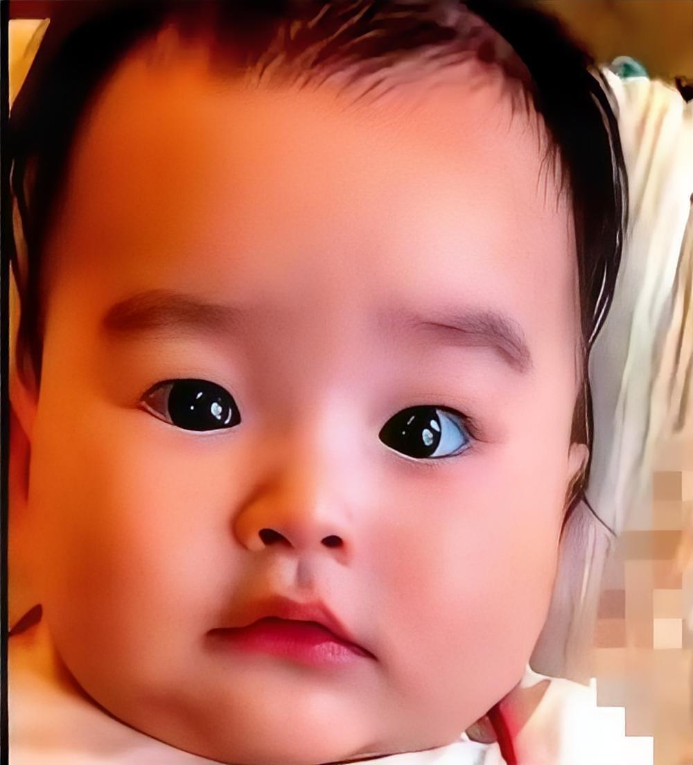 谁也没想到，仅四个月大的汪宝，竟解锁了婴儿最治愈的快速蜕变期！不同于多数宝宝缓慢