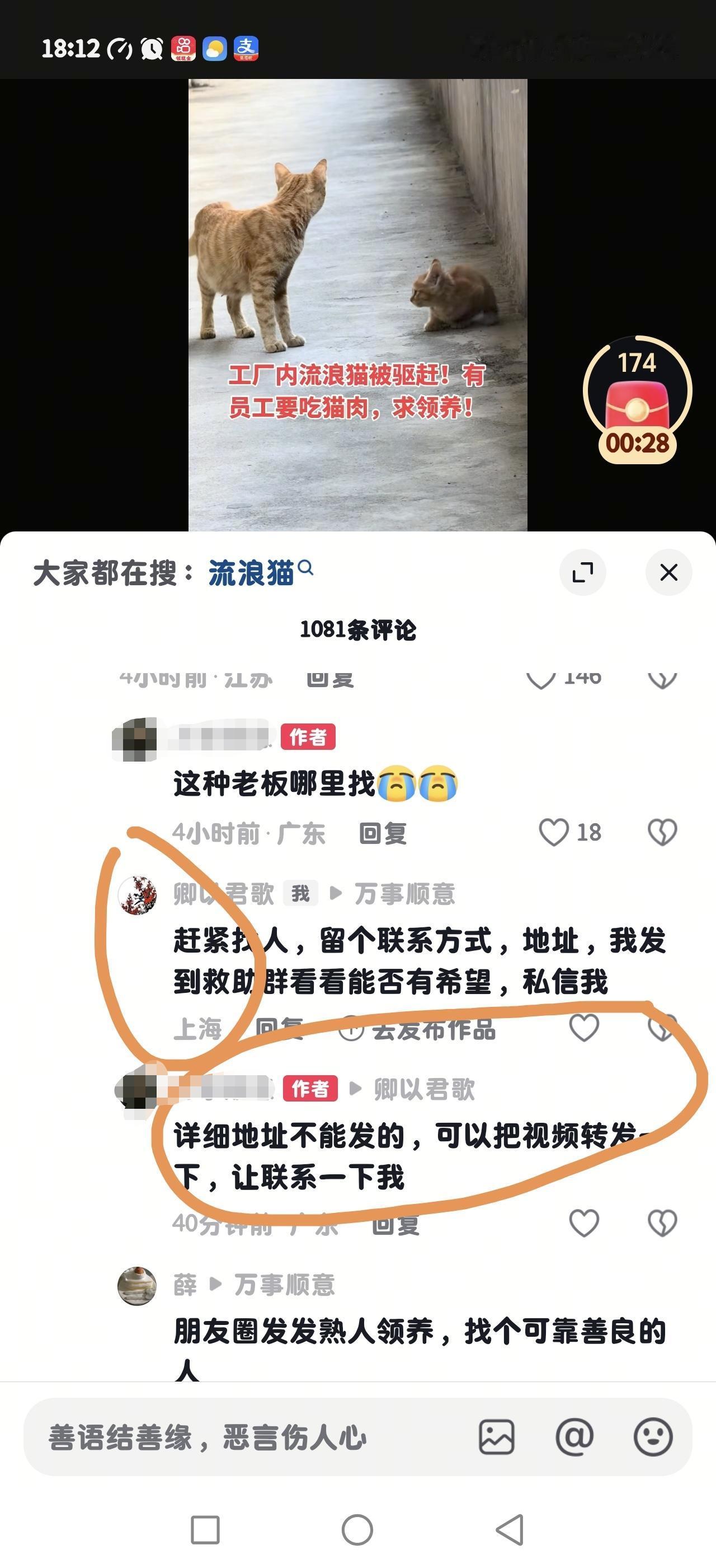 工厂内流浪猫被驱赶!有员工要吃猫肉，求领养!

位置在广州白云区，工厂内有多名广