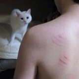 蛇顺逛逛娱乐