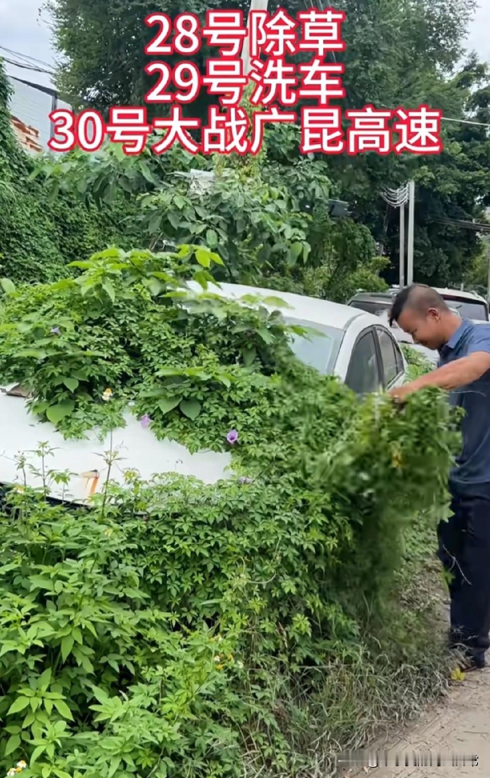 除草洗车大战高速，月饼准备好了吗！
 
一年喝两箱油的“祖宗车”！平时占车位养草